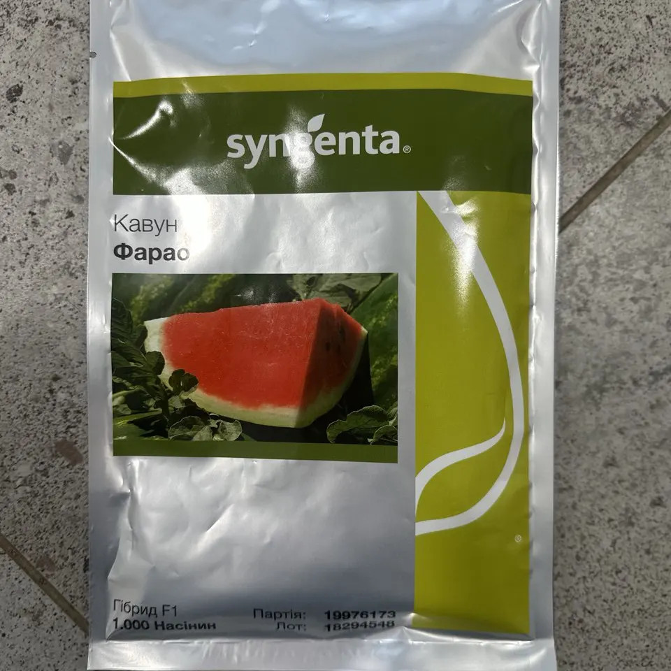 Фарао F1, Farao F1 - кавун, 1000 насінин , Syngenta