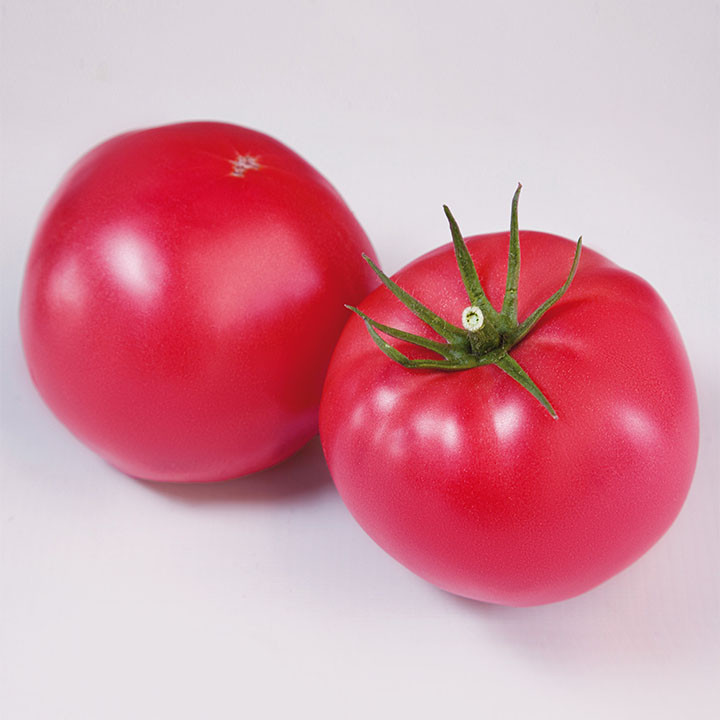 Фінлі (КС 1205) F1, Finli (KS 1205) F1 - томат індетермінантний, 100 насінин, Kitano Seeds