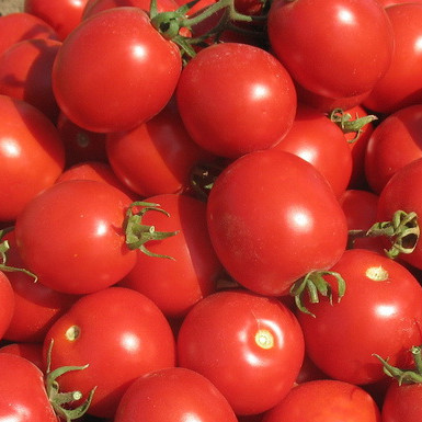 Солероссо F1, Solerrosso F1 - томат детермінантний, 25000 драже, Nunhems