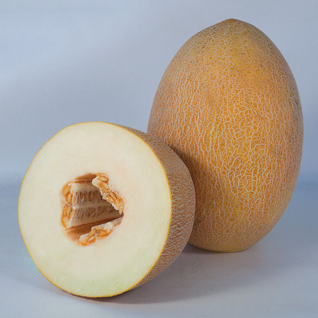 Кубус (КС 6188) F1, Kubus (KS 6188) F1 - диня, 1000 насінин, Kitano Seeds
