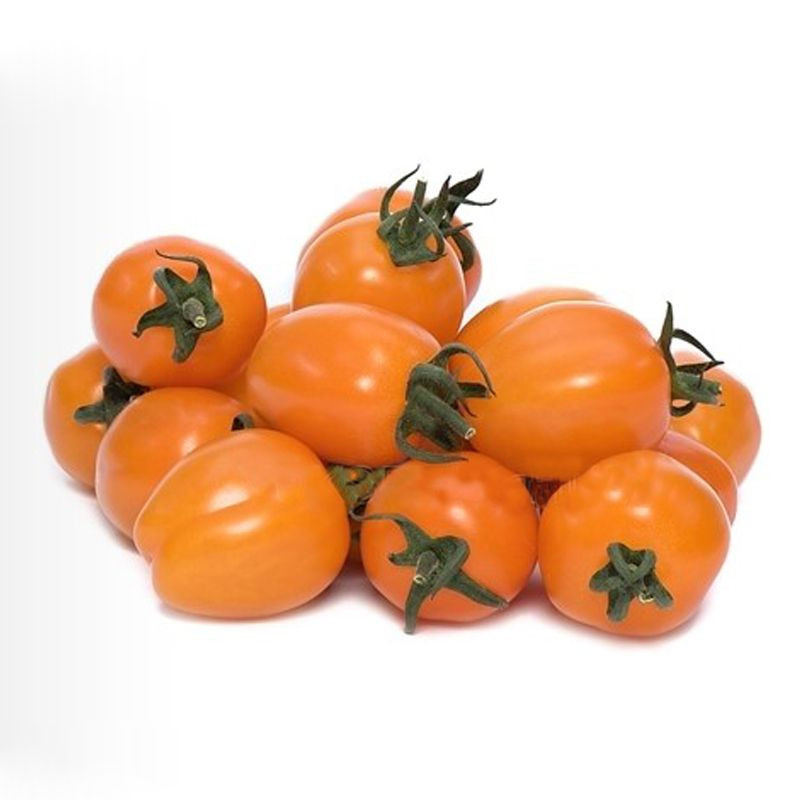Мода (помаранчевий) F1, Fashion (orange) F1 - томат індетермінантний, 100 насінин, Yuksel Seeds