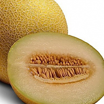 Ананас, Pineapple - диня, 500 грам, Hortus