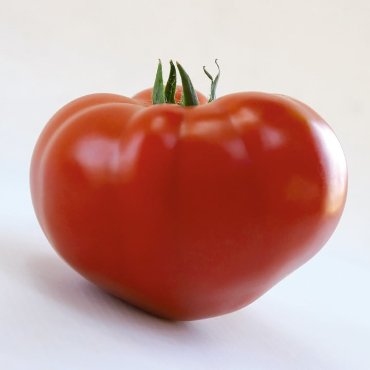 КС 204 F1, KS 204 F1 - томат індетермінантний, 500 насінин, Kitano Seeds