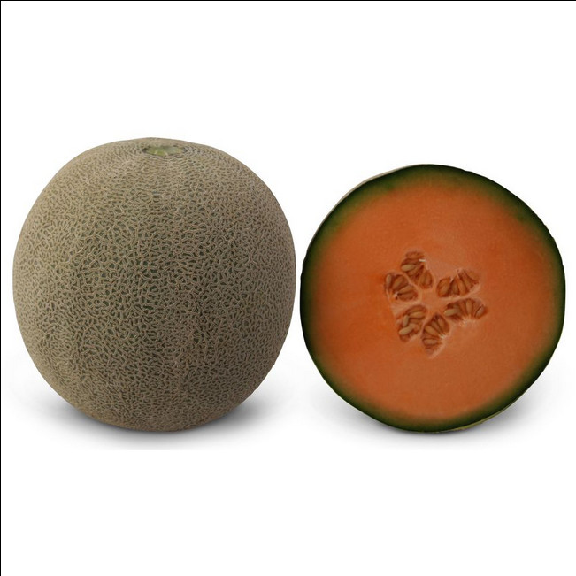 Севінта (КС 7084) F1, Sevinta (KS 7084) F1 - диня, 1000 насінин, Kitano Seeds