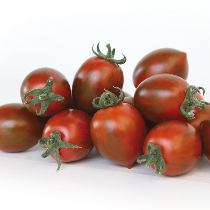 КС 277 F1, KS 277 F1 - томат індетермінантний, 100 насінин, Kitano Seeds