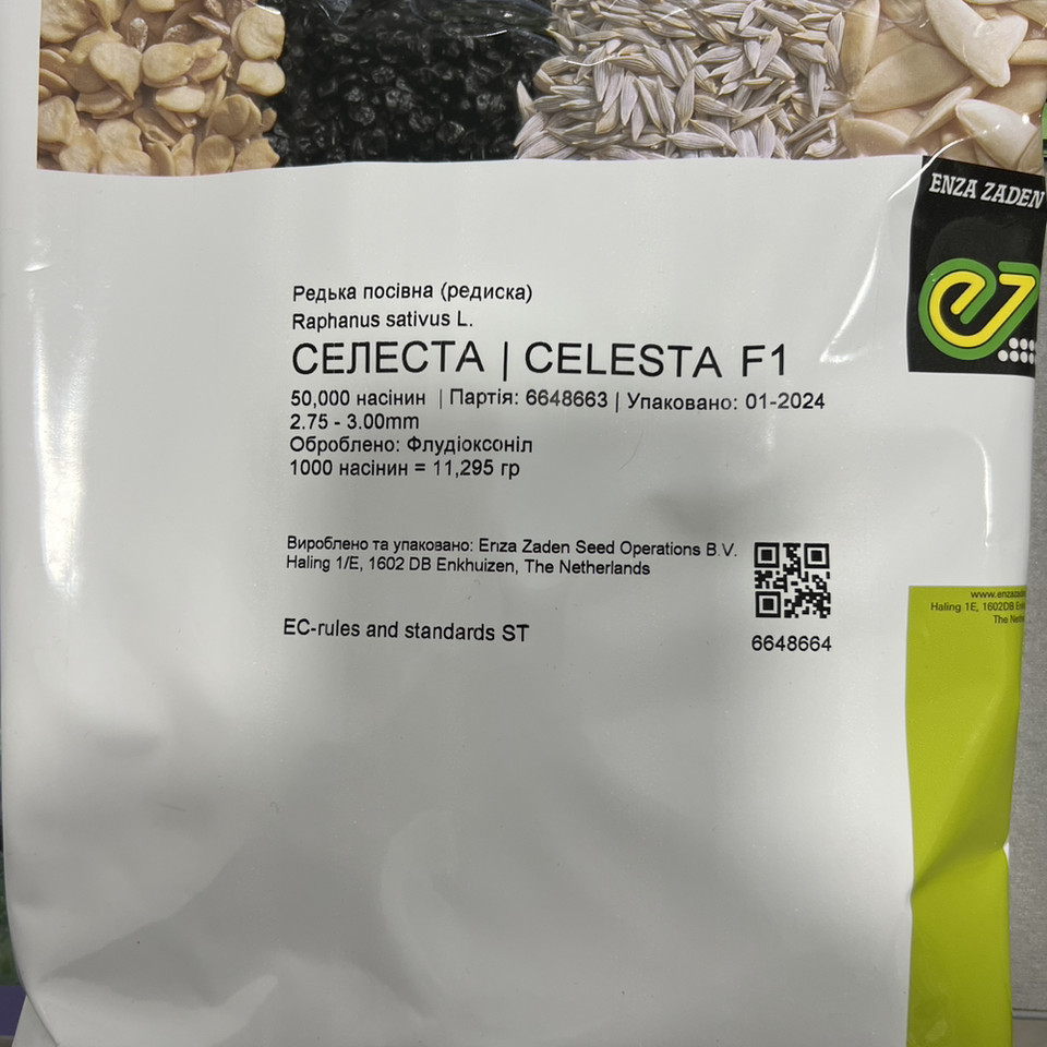 Селеста F1, Celesta F1 – редис, 50000 насінин (2,75-3,00), Enza Zaden