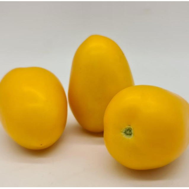 КС 221 F1, KS 221 F1 - томат індетермінантний, 100 насінин, Kitano Seeds