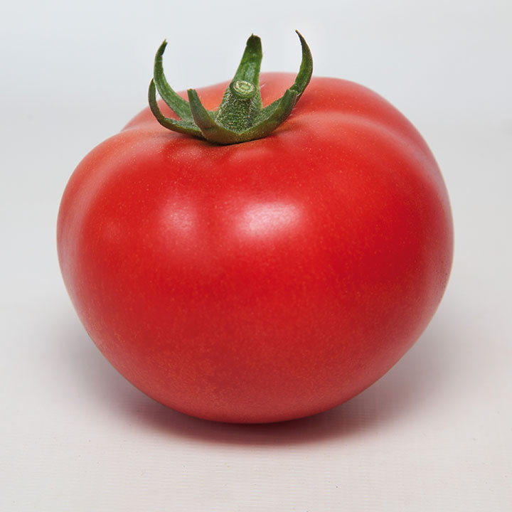 Манамі (КС 21) F1, Manami (KS 21) F1 - томат індетермінантний, 500 насінин, Kitano Seeds