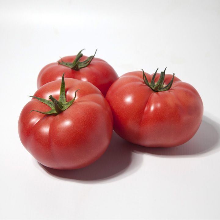 КС 1157 F1, KS 1157 F1 - томат індетермінантний, 500 насінин, Kitano Seeds