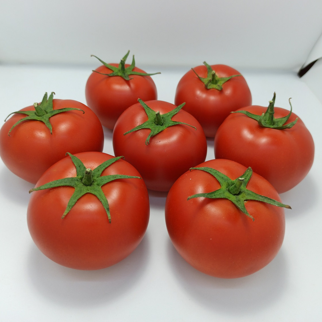 Бандерас (PL 6212) F1, Banderas (PL 6212) F1 - томат індетермінантний, 100 насінин, Asia Seed