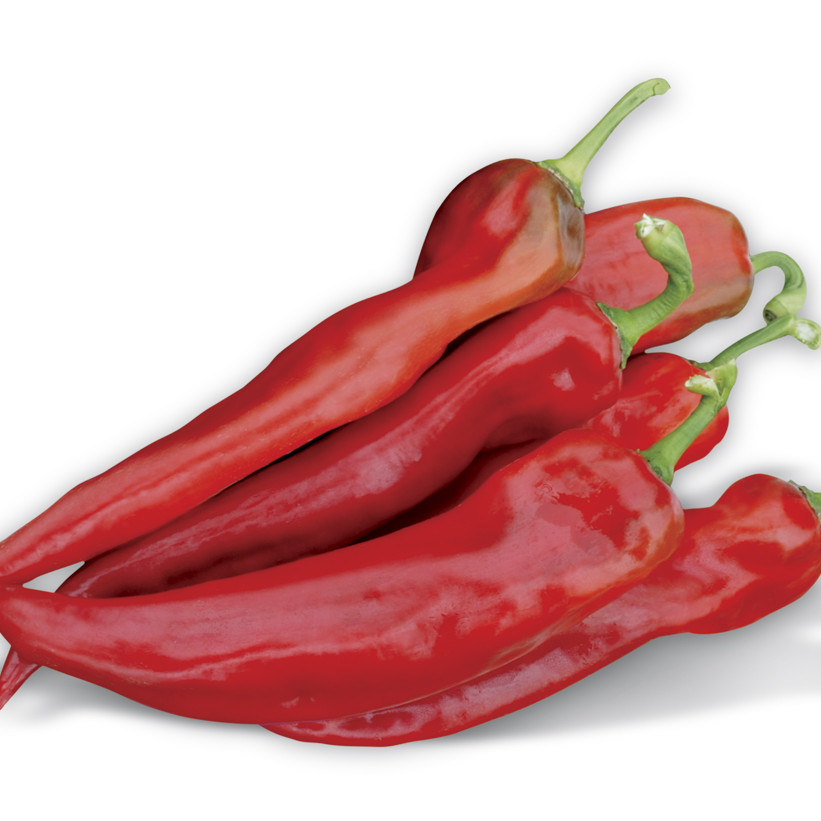 Тандер F1, Thunder F1 - перець, 100 насінин, Rijk Zwaan