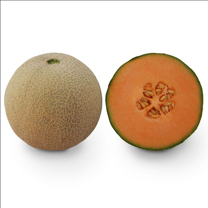 КС 7049 F1, KS 7049 F1 — диня, 1000 насінин, Kitano Seeds