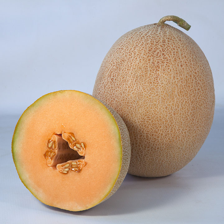 Трібека (КС 6147) F1, Trybeka (KS 6147) F1 - диня, 1000 насінин, Kitano Seeds