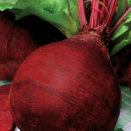 Червона куля, Red Ball - буряк, 100 грам, Satimex