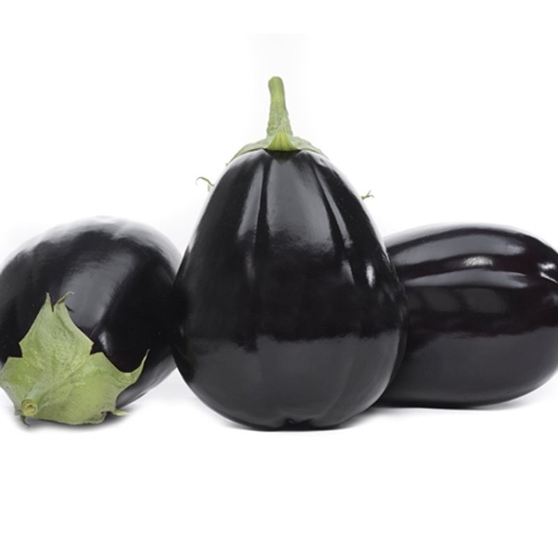 Раунд F1, Round F1 - баклажан, 500 насінин, Yuksel Seeds