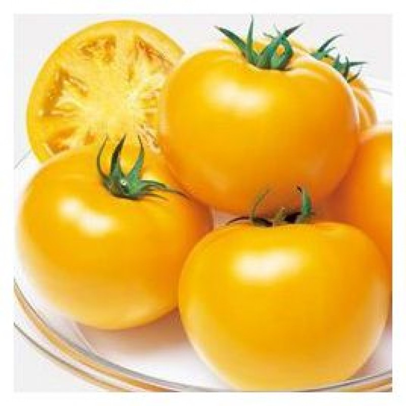 Несі (КС 1549) F1, Nesi (KS 1549) F1 - томат індетермінантний, 500 насінин, Kitano Seeds