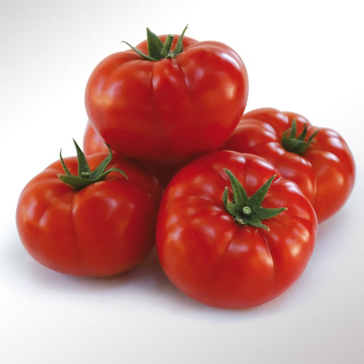 КС 206 F1, KS 206 F1 - томат індетермінантний, 500 насінин, Kitano Seeds