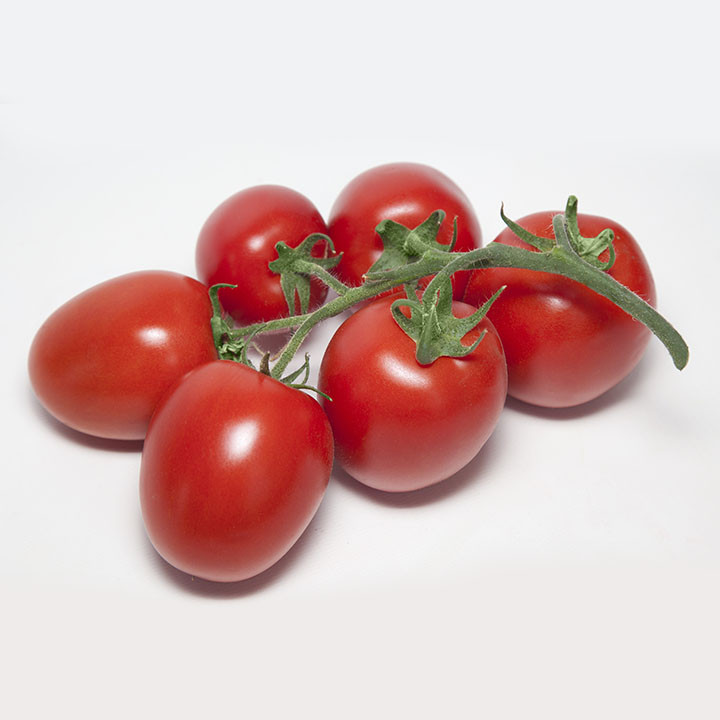 Банті (КС 3819) F1, BANTI (KS 3819) F1 - томат індетермінантний, 500 насінин, Kitano Seeds