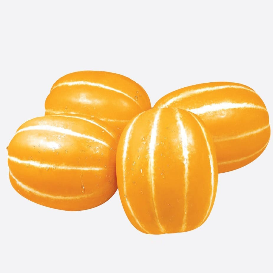 Маніта, Manita - диня, 500 насінин, Asia Seed