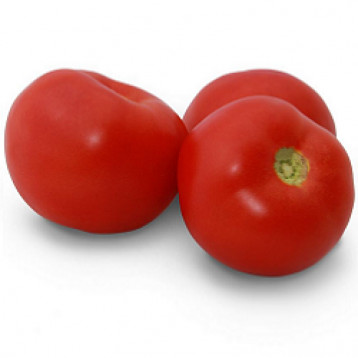 КС 2910 F1, KS 2910 F1 - томат детермінантний, 1000 насінин, Kitano Seeds