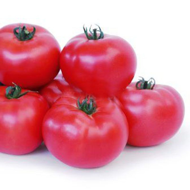 КС 307 F1, KS 307 F1 - томат індетермінантний, 100 насінин, Kitano Seeds