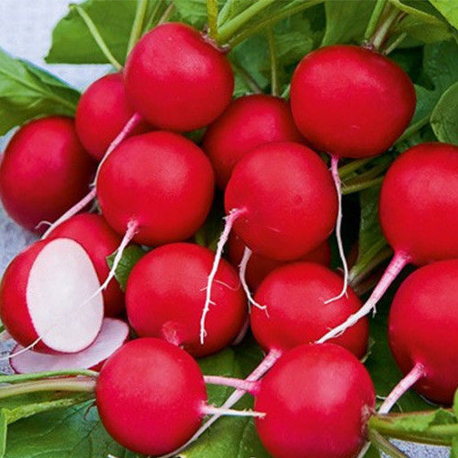 Сакса 2, Saksa 2 - редис, 250 грам, Satimex